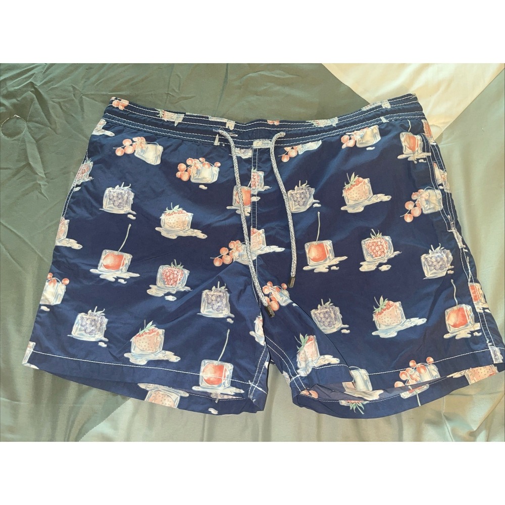 Vilebrequin Mens Size XL Blue Frozen Fruit Ice Swim Trunks Lined